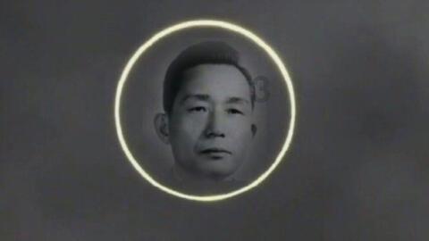 月光影视